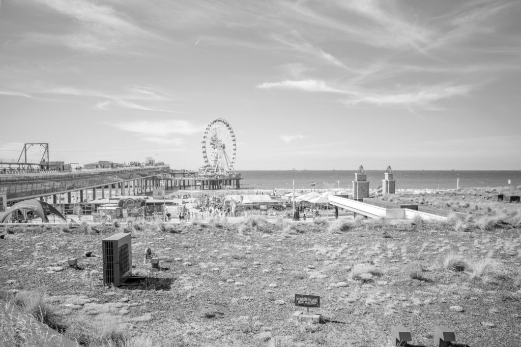 Scheveningen Foodhall Roof Seascape