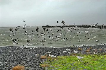 Stormy conditions at Scheveningen beach, The Hague, Netherlands