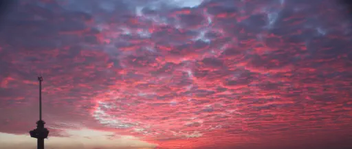 Rotterdam, The Netherlands (31562402384)