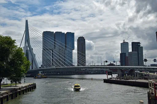 Side views of Erasmusbrug (Rotterdam) - 2025