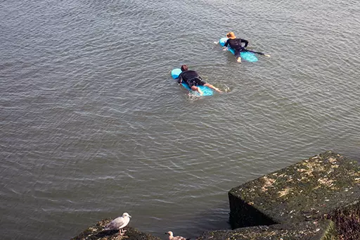 Surfers paddling in calm water near the northern harbor head of Scheveningen with seagulls on the breakwater.